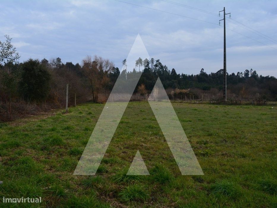 Terreno Rústico em Anadia — Arcos E Mogofores, Aveiro