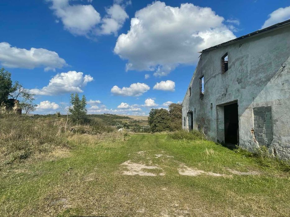 господарський двір (ферма) 3 гектара, 1700 м2 площа 2 будівель, продаж