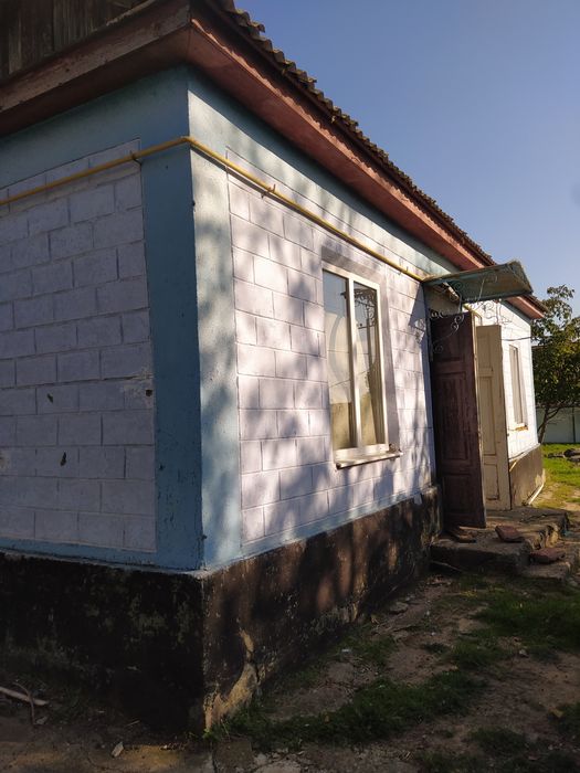 Будинок степова39