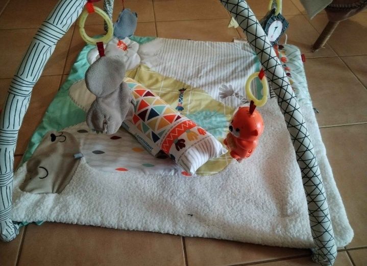 Ginásio para bebé fisherprice deluxe
