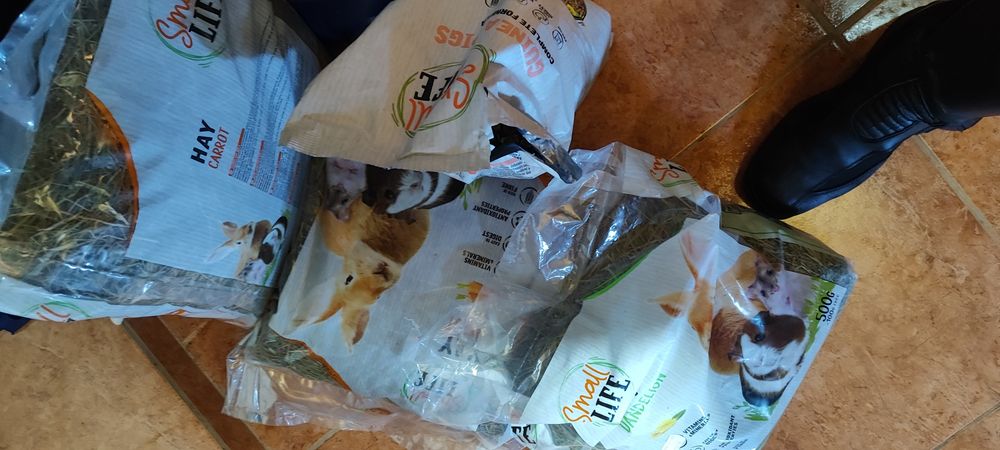 Gaiola/ casota para porco da Índia ou hamster