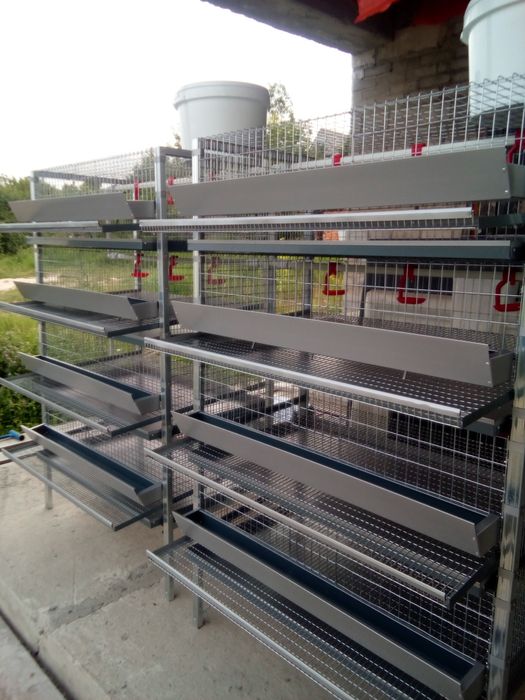 Клвтки для перепелів (Оплата частинаии)