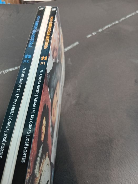 Manual Linhas da História 11