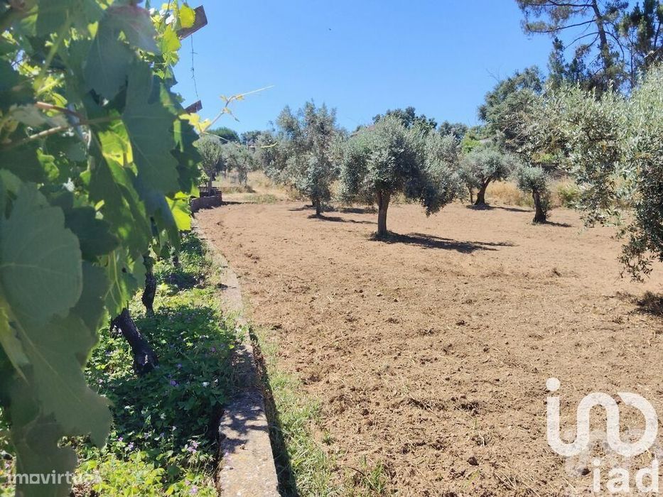 Terreno em Castelo