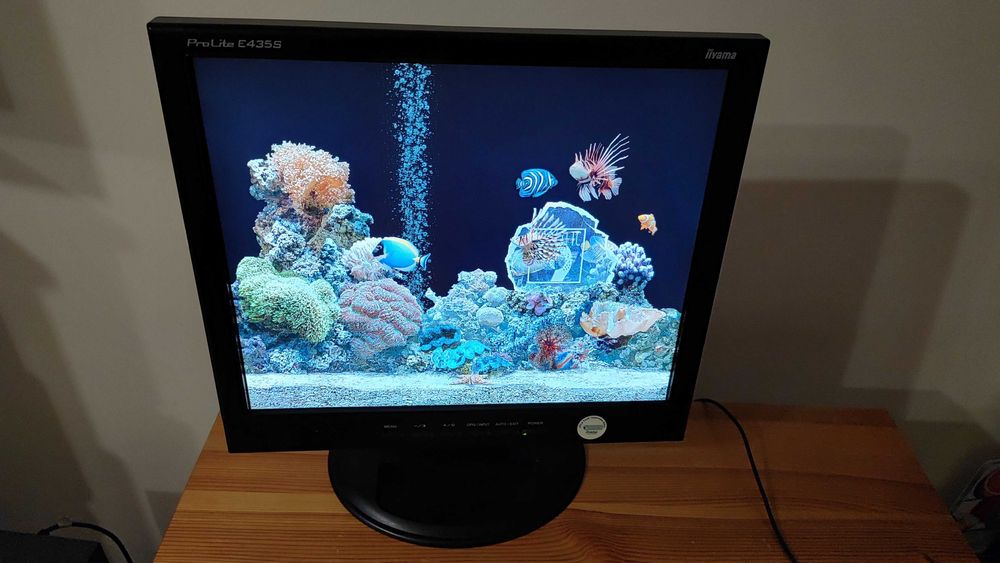 monitor IIYAMA ProLite E 435 S