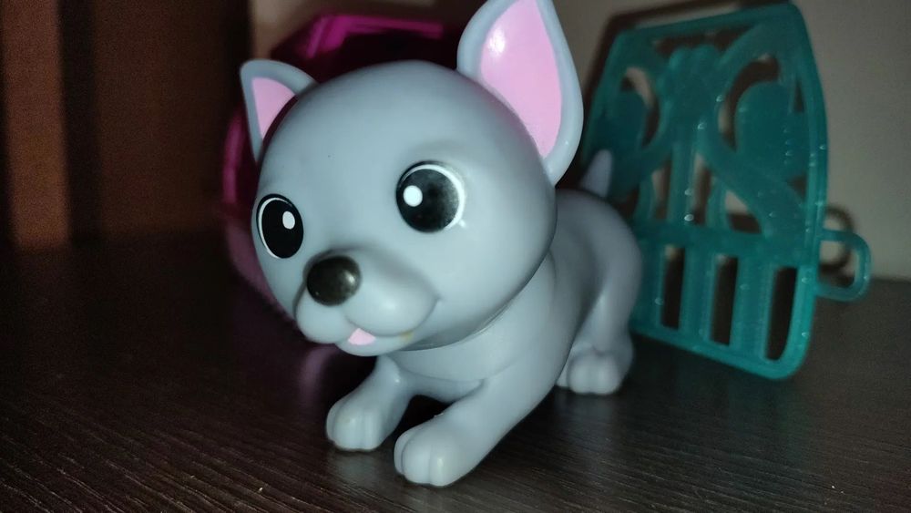 Piesek z transporterem