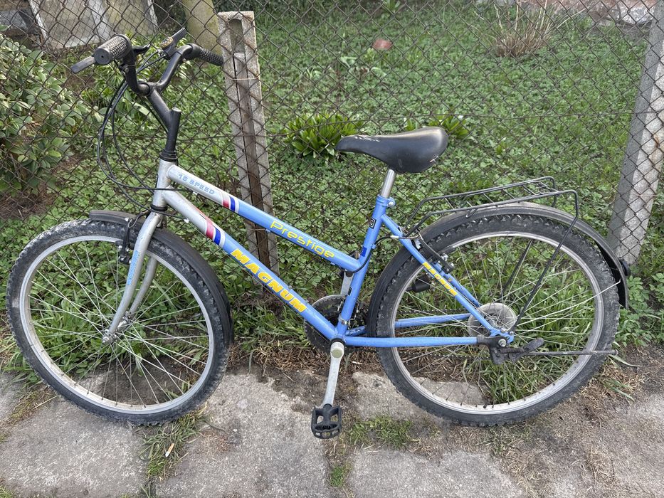 Rower miejski magnum