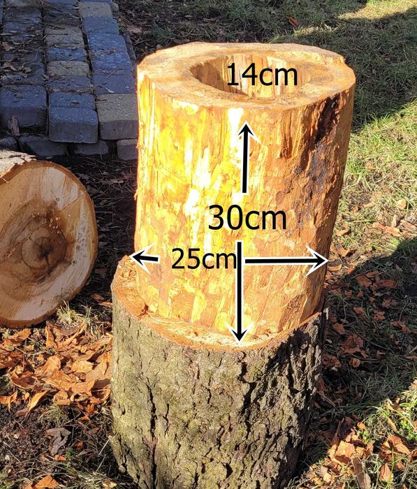 Wydrążony pień kasztan projekt