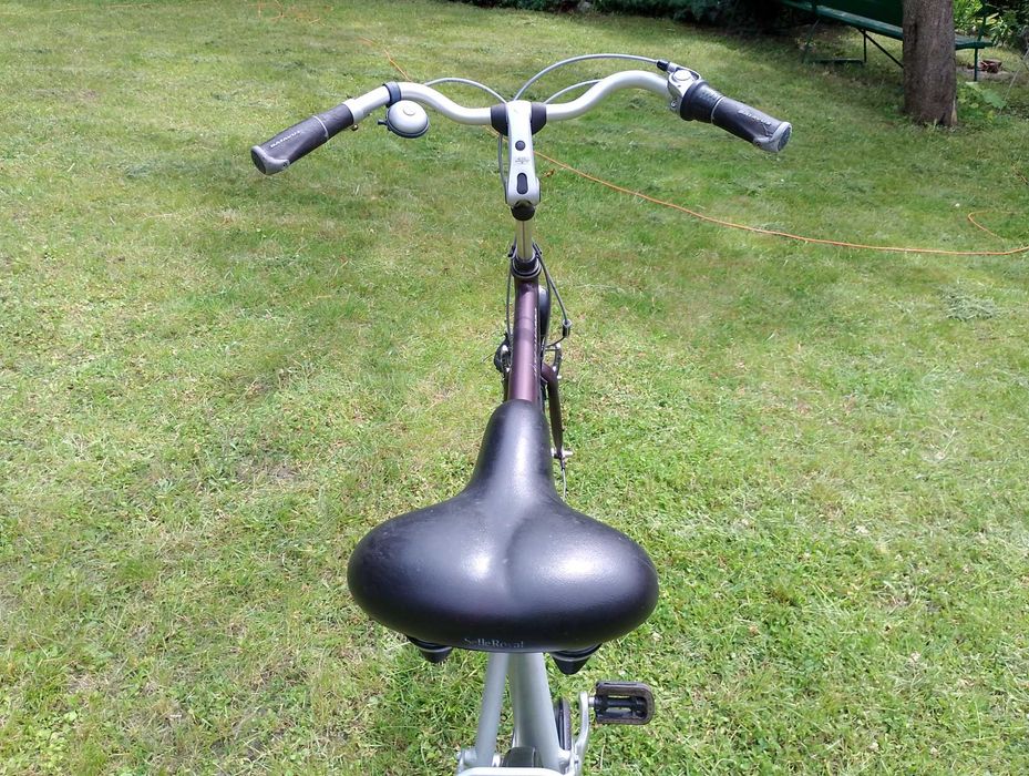 Batavus Intermezzo: idealny holender dla wysokich osób