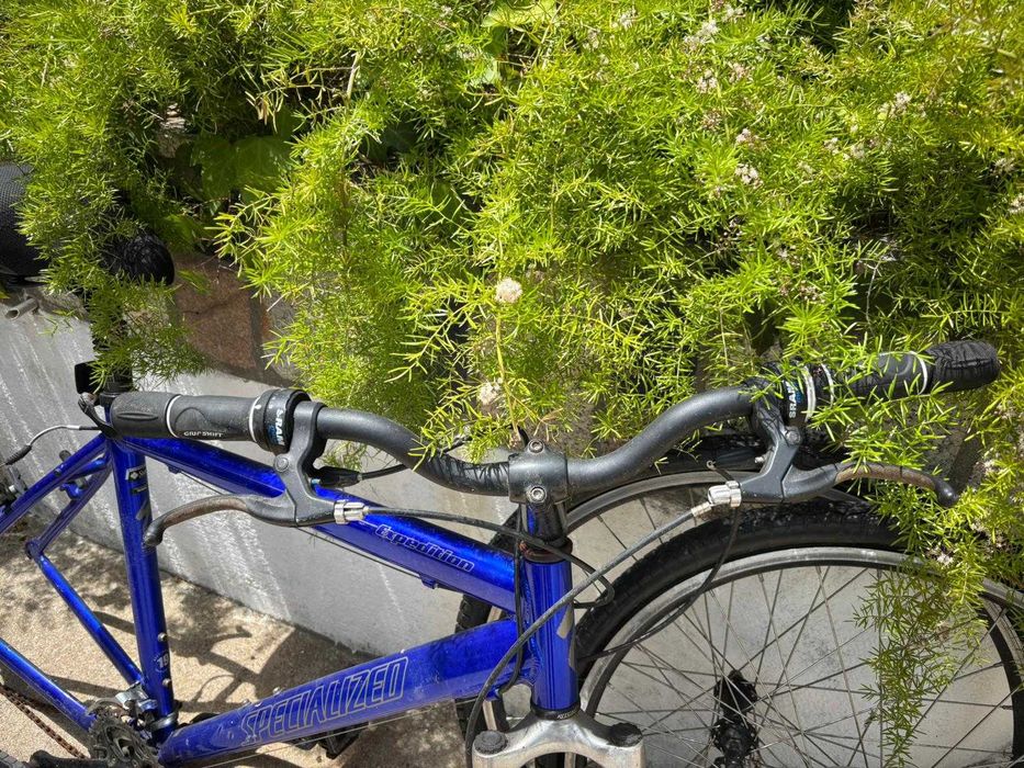 Bicicleta Specialized Expedition — roda 26” — adulto