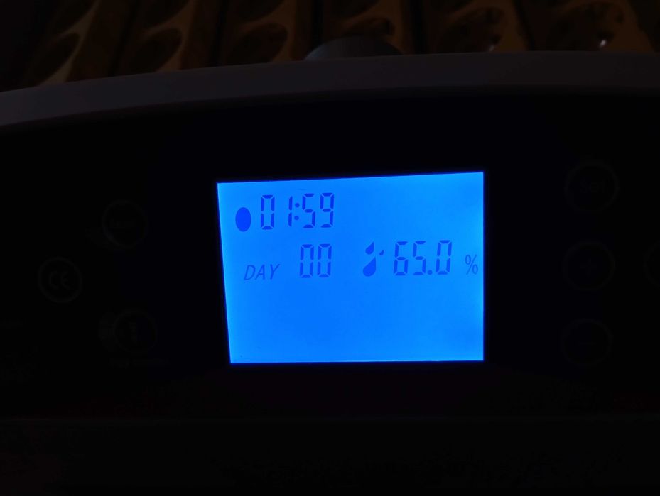 Chocadeira incubadora automática, maternidade. Nova a estrear