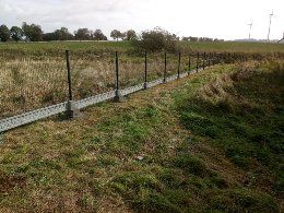 Panele ogrodzeniowe Ogrodzenie panelowe PRODUCENT