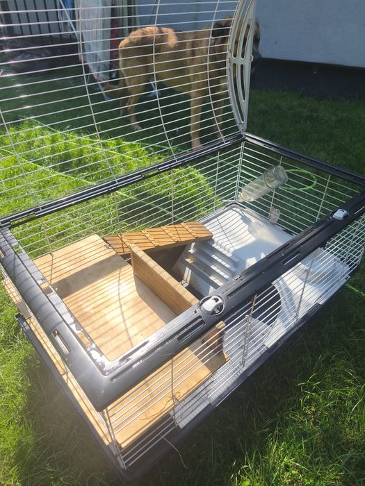 Duża klatka dla gryzonia świnki morskiej 95x55