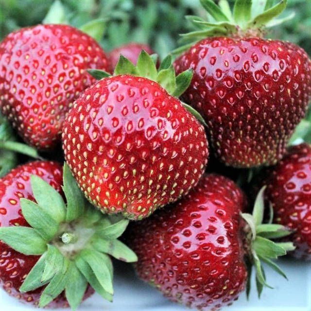 Продам будинок в тихому місці