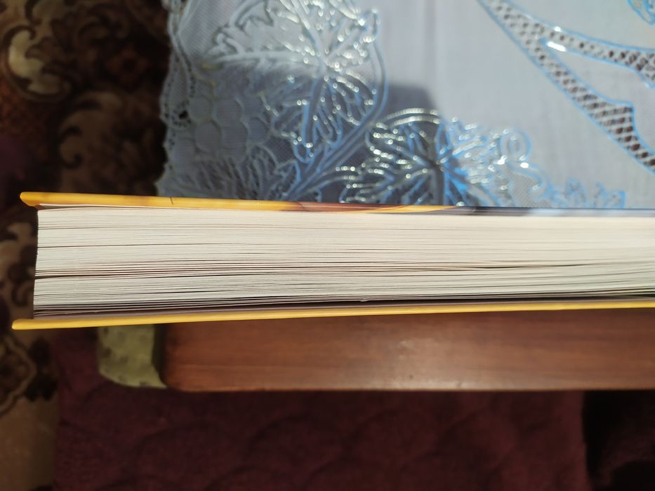 Книга нова, 317  сторінок