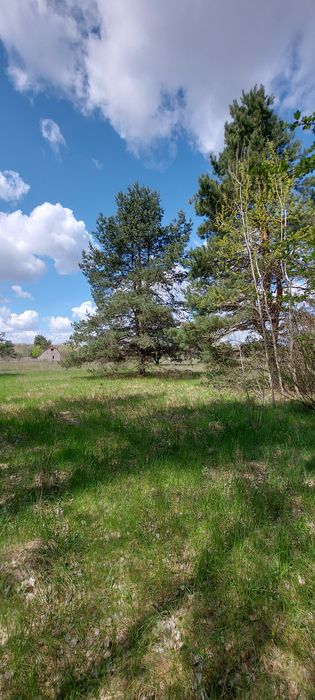 Продам власну садову ділянку