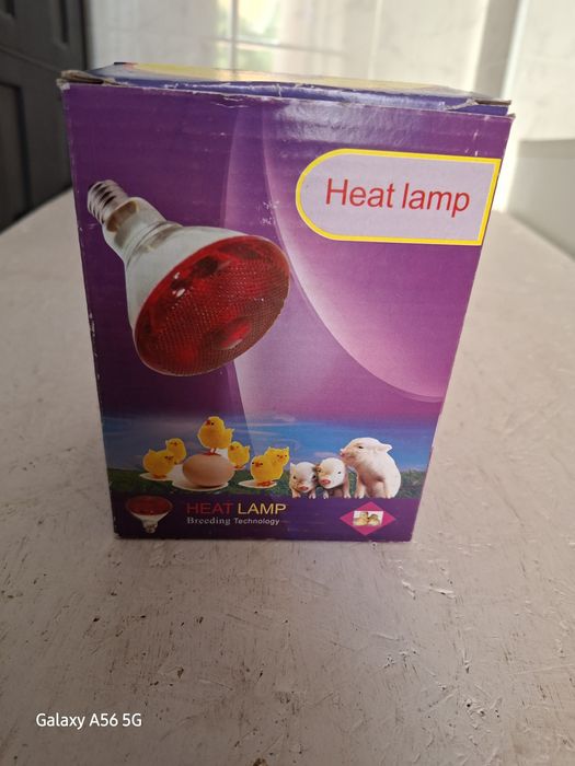 Lampada de aquecimento