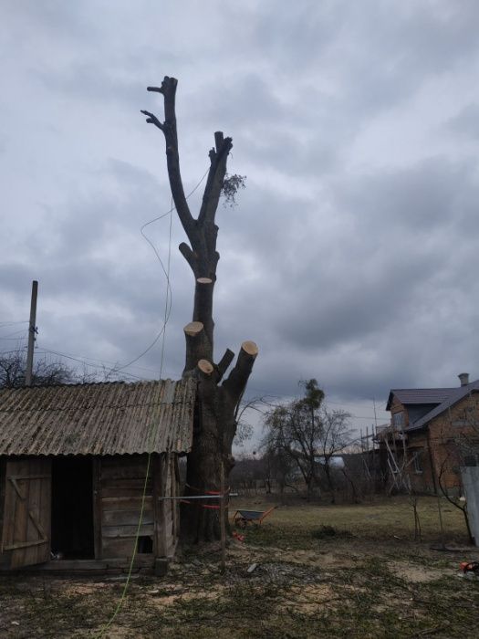 Альпініст Обрізка валка дерев зріз спил аварійних дерев Кам'янка