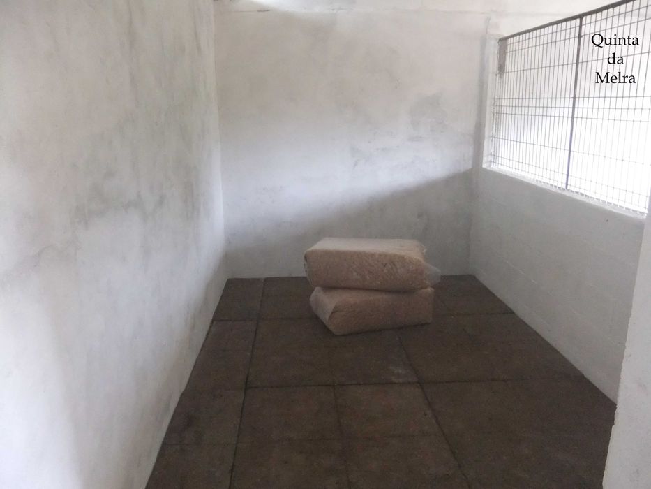 Cavalos a penso/Livery Yard (PT/EN)