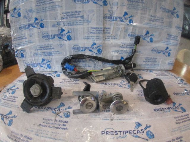 Conjunto de canhões PEUGEOT 206+ (T3E)