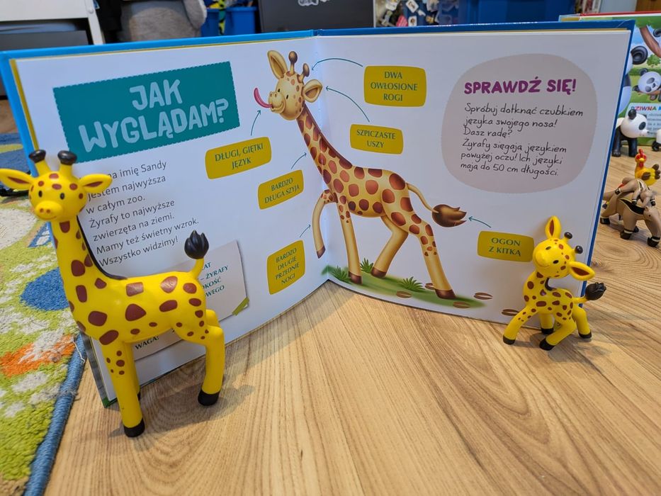 Kolekcja zwierzęta z mojego ZOO