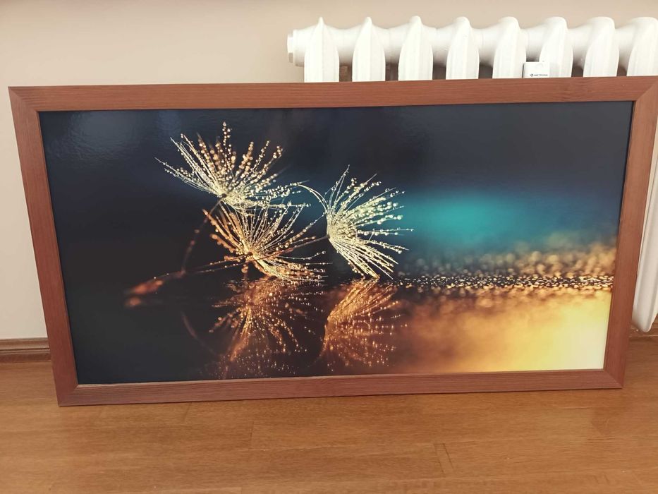 Obraz duży 100 x 50 cm