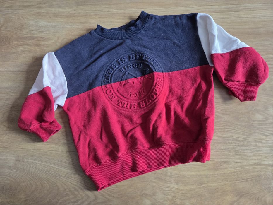 Paka ubrań w rozmiarze 92
Bluza i sweter z dinozaurami Next.
Dres z P