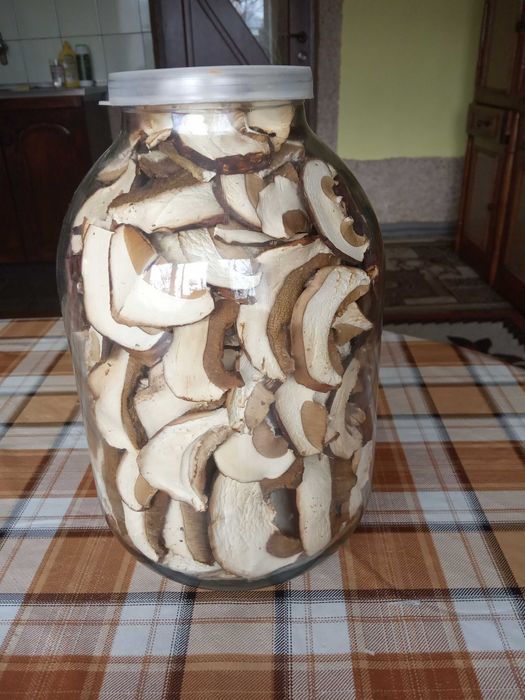 Гриби білі сушені.