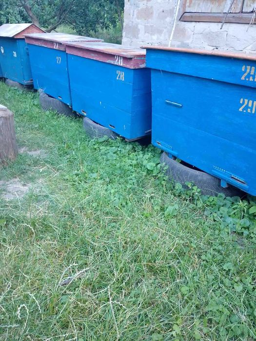 Продам вулики "Українка"