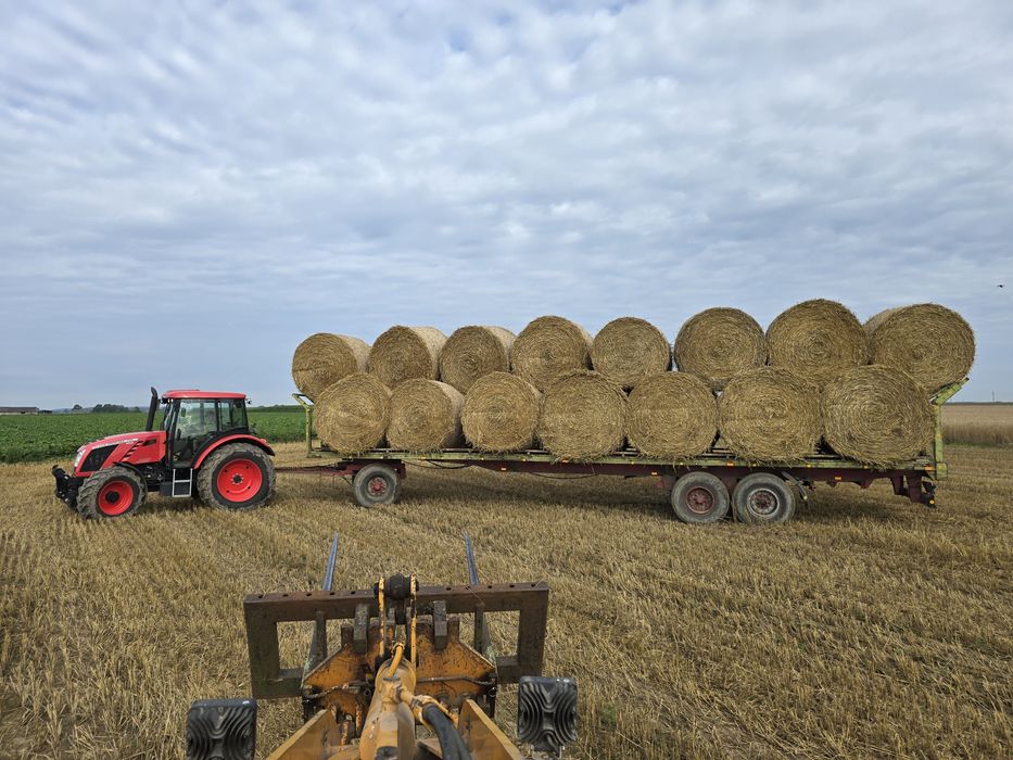 Owies paszowy, Jęczmień  Żyto