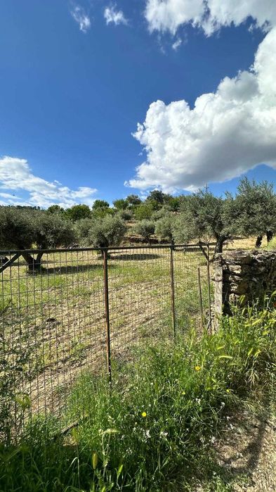 Terreno de 1,04 ha em Vila Flor (Vale da Vilariça) – Com Água (Furo/Tanque), Armazém Agrícola e Vistas Fantásticas