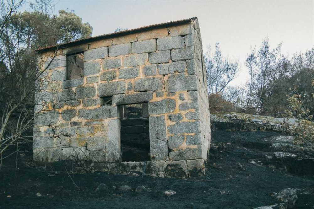 Quinta com ruina para recuperar! 1.3hec farm with granit house (ruin) Offgrid (Oliveira do Hospital)