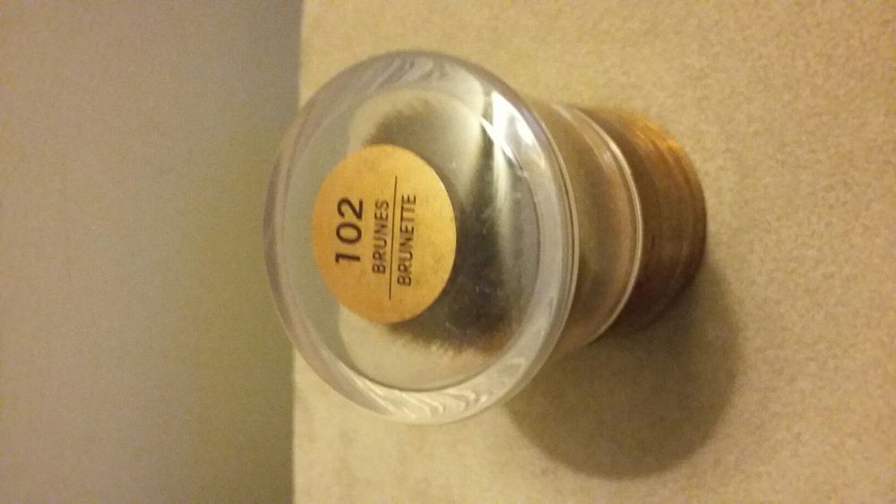 Blush L'Oreal (várias tonalidades)