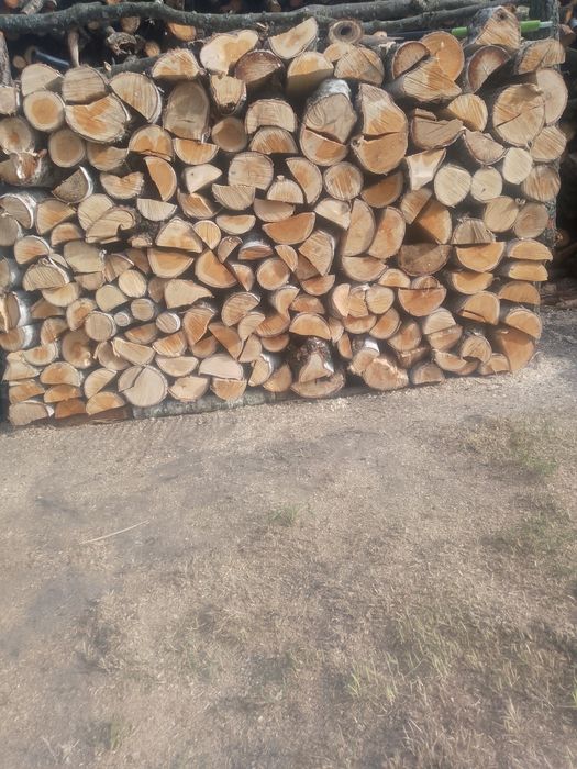 Sprzedam drewno opałowe dębowe