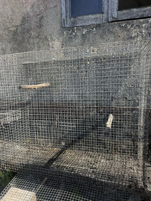 3 gaiolas  para aves