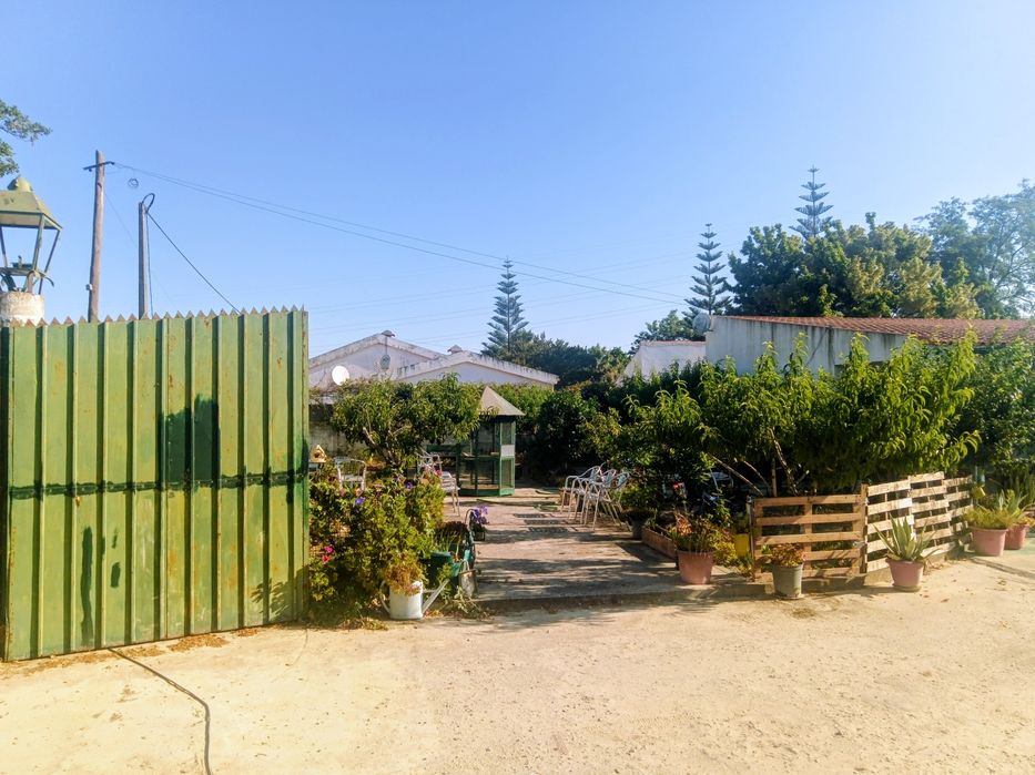 Quinta com 12000 m2 na Quinta do Anjo - venda a pronto pagamento