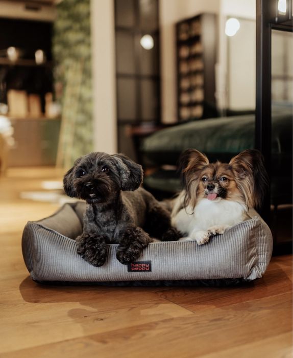 Лежак для собаки. Петбед нірка. Портативний килимок. Лежанки