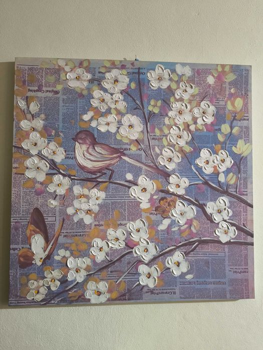 Quadros e molduras 6€ cada