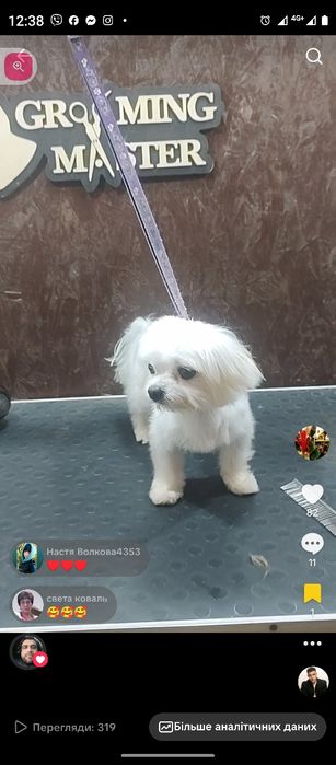 Готовий до в'язки