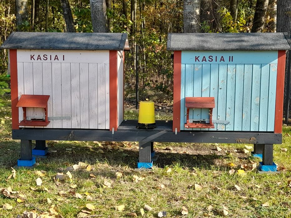 Ule warszaskie poszerzone - leżak