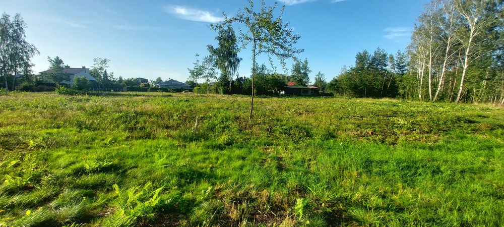 Działka  ul. Działowa