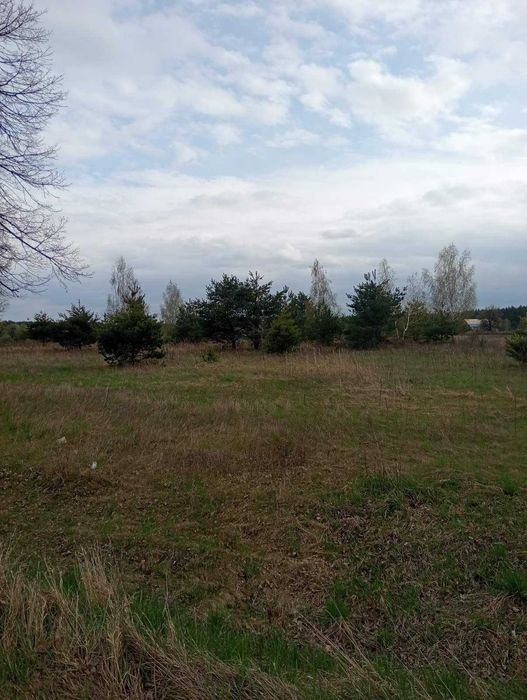 Продам земельні ділянки по 15 соток. 15 хвилин до Боярки.