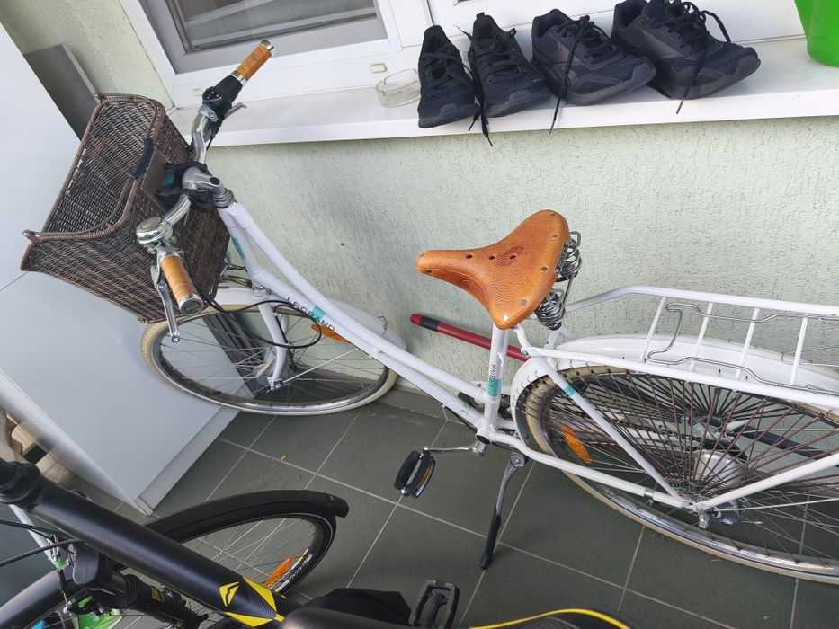 Damski Rower Virginia 3 rama L