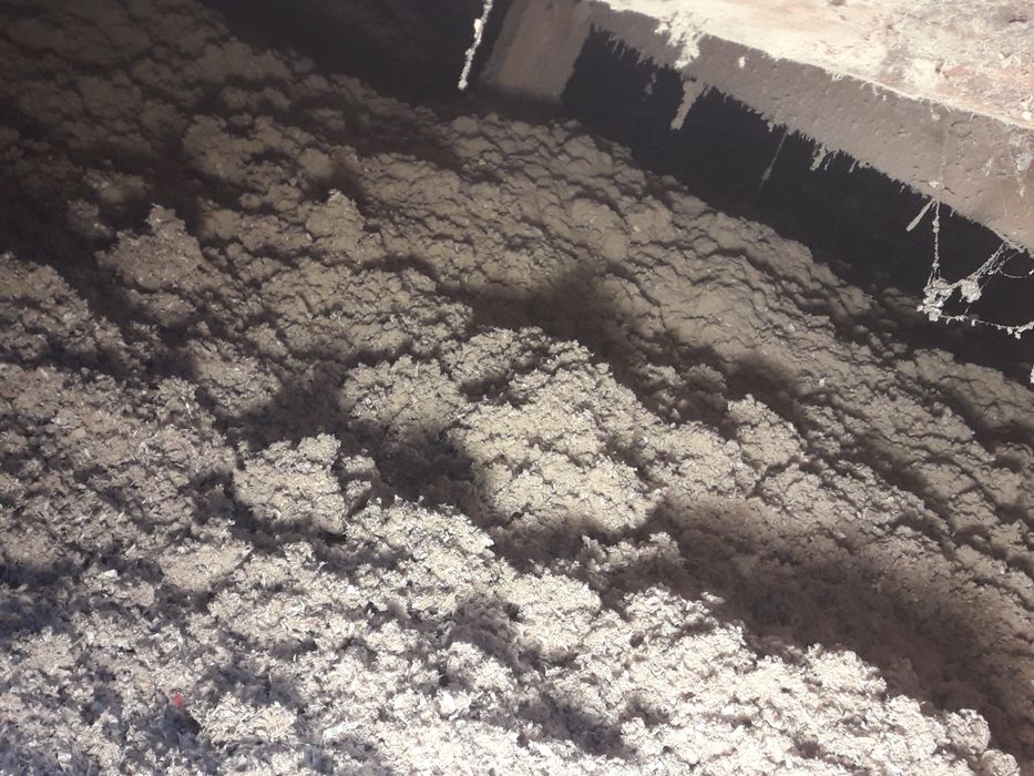 Celuloza i PIANA PUR Zakopane i okolice