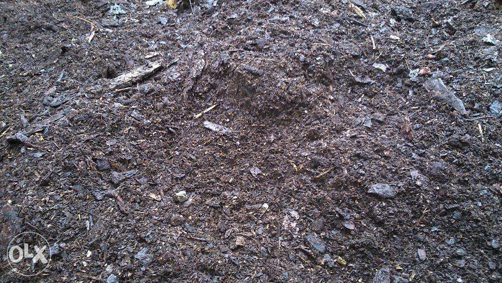 Trocina -torf ogrodnicza materiał pod borówke amerykańską