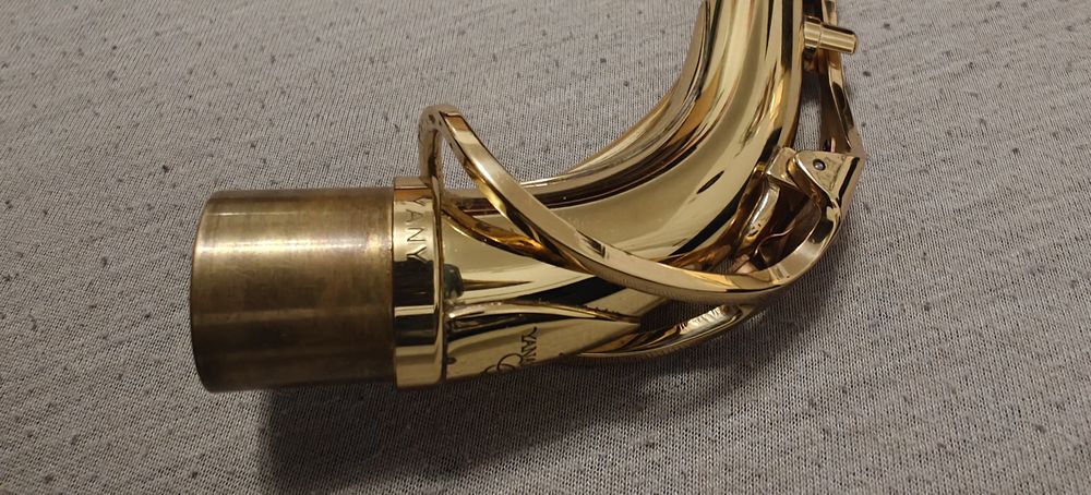 Saksofon altowy Yanagisawa W-01