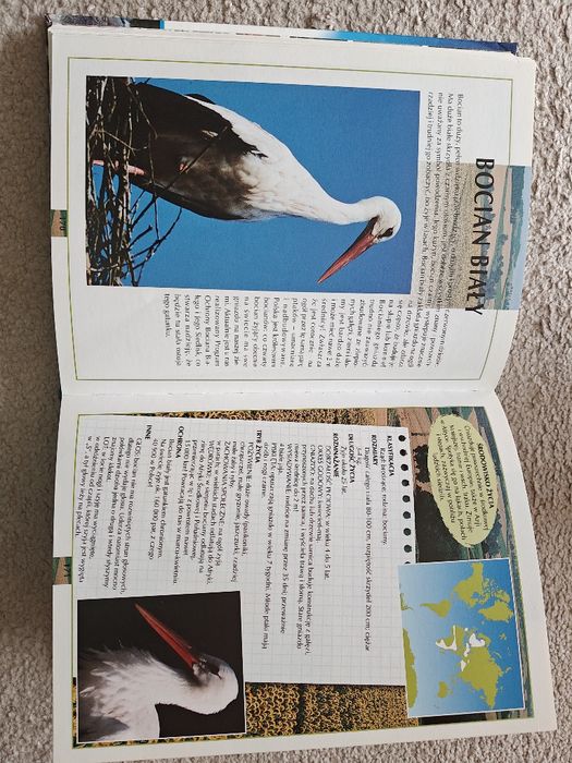 Encyklopedyczny Atlas Zwierząt