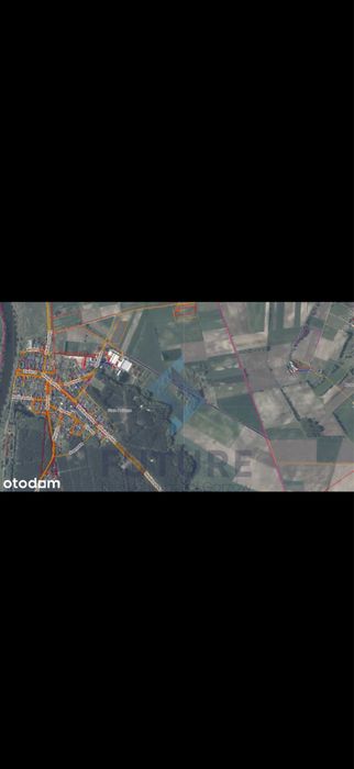 Działka rolna Stare Polichno – 1,39 ha - Widok 2
