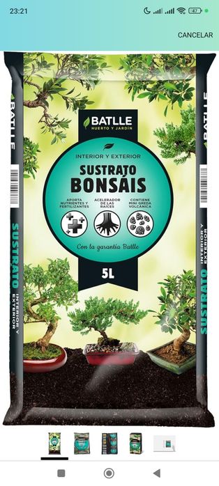 Substrato Bonsai Interior e Exterior