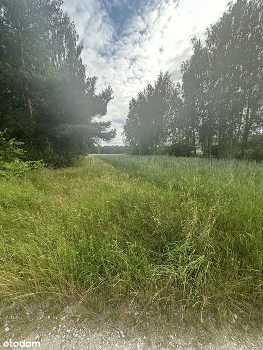 Działka Bełdów